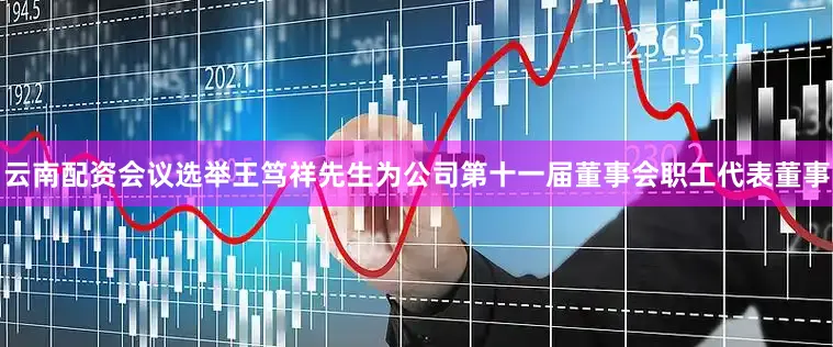 云南配资会议选举王笃祥先生为公司第十一届董事会职工代表董事